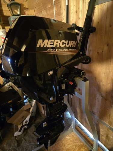 Mercury f20 efi - f20,